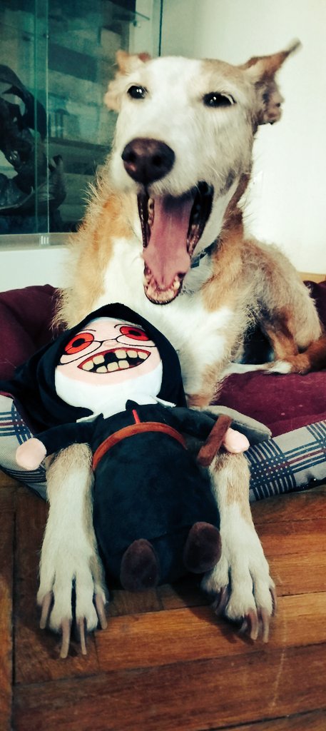 #BEEAFRAID 🦇 Festival de terror 2022 tweet media