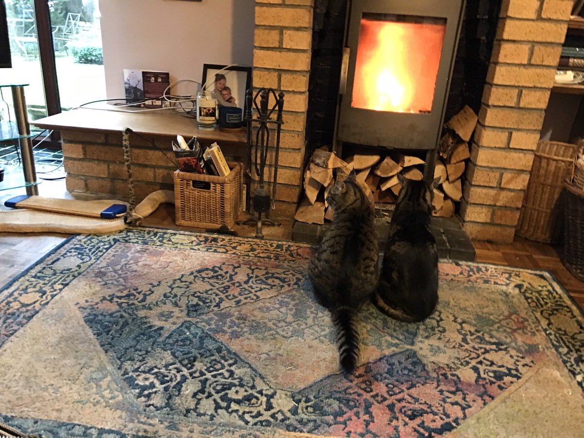 4x4overlander's tweet photo. @Number10cat Happy #Caturday https://t.co/8HcbKQNgh5