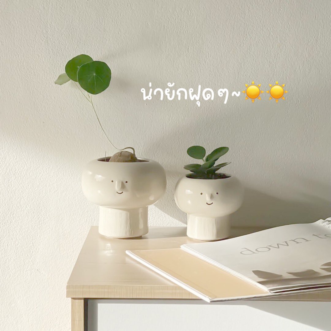 baekdoracute's tweet photo. ป้ายยากระถางต้นไม้จิ๋ววววว~🪴🌤️🌵
กระถางกระบอกเพชร แคคตัส🌵🪴🌤️

น้อนน่ารักมากๆเลยคั้บทุกคน 55555555
เป็นตุ๊มุน่าเอามาใส่ต้นไม้มาก 55555555

มีน้อนใส่ต้นไม้ไว้ที่บ้านอารมณ์ดีทั้งวันแน่🤍 https://t.co/INJ5RKnHbA
