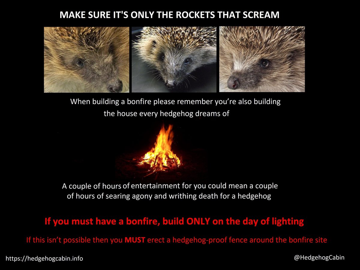 If you are starting to build your bonfire for next week, please remember NOT to build it on the spot where it will be lit. You need to move it the day you light it, or fence off the building area NOW, to prevent wildlife deaths.