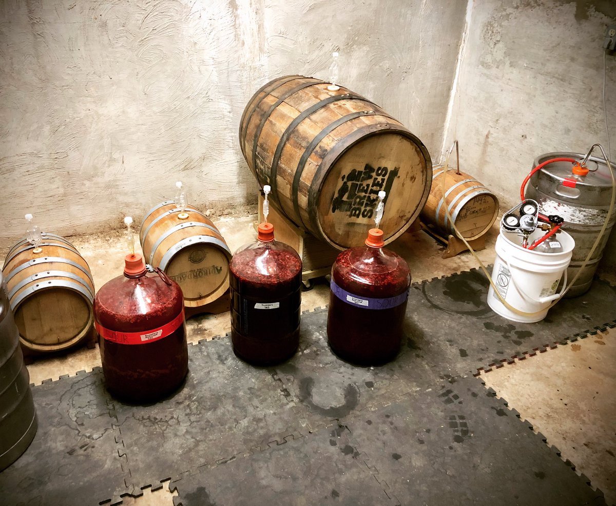 Blended our Golden Sour Solera barrels onto #Boysenberries &amp; #BlackCurrants.😋 Then topped off the barrels with a new golden sour fermented w/ the local microbes from my backyard that <a href="/BootlegBiology/">bootleg biology</a> isolated for us.🤘🏻 Also racked our Sour Red Solera onto fruit for two variants.