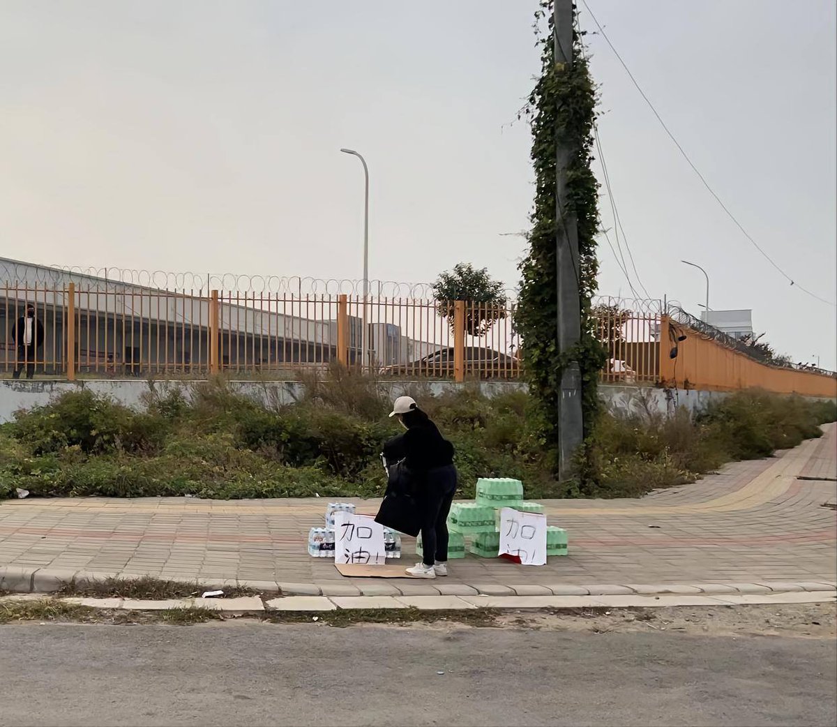 donge_0's tweet image. 善举，给有需要的“逃荒人”