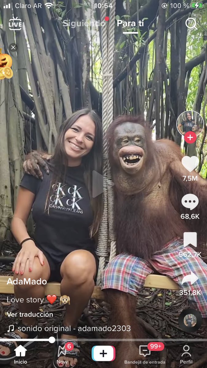 Mi amiga/el negro fiero por el que llora