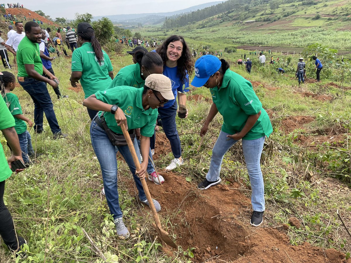 GomeraM's tweet image. Fantastic joining  @UNRwanda @RwandaGov #DevelopmentPartners and residents of @GasaboDistrict in planting trees. This marked today’s #Umuganda, a remarkable tradition drawing on community action to solve common problems, as well as celebrating #60yearsRwandaUN
