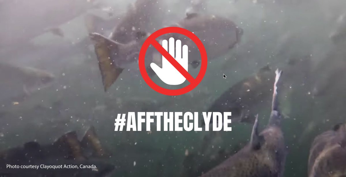 AFFtheClyde's tweet photo. Spaces still left on Monday bus from Ardentinny/Lochgoilhead to #BienneReithe Fish Farm site & Public Hearing Arrochar. Attend & help protect this unique and special piece of wild coastline. Remember once it’s gone, it’s gone! More info at https://t.co/hzlW7TCIqX #AFFtheClyde https://t.co/v31nBKeBT8