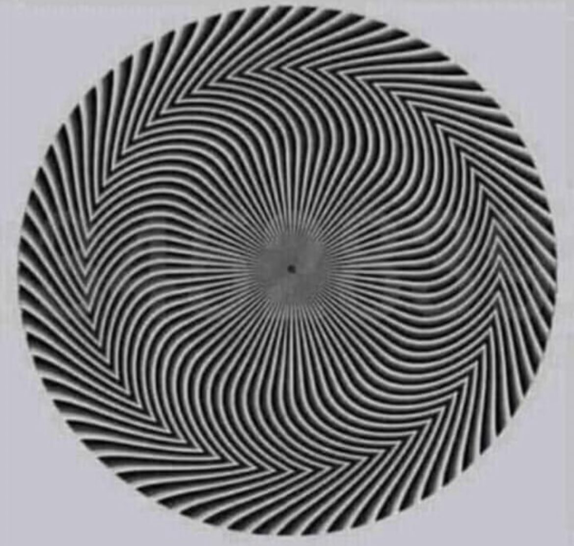 Vanessa Huppenkothen tweet media