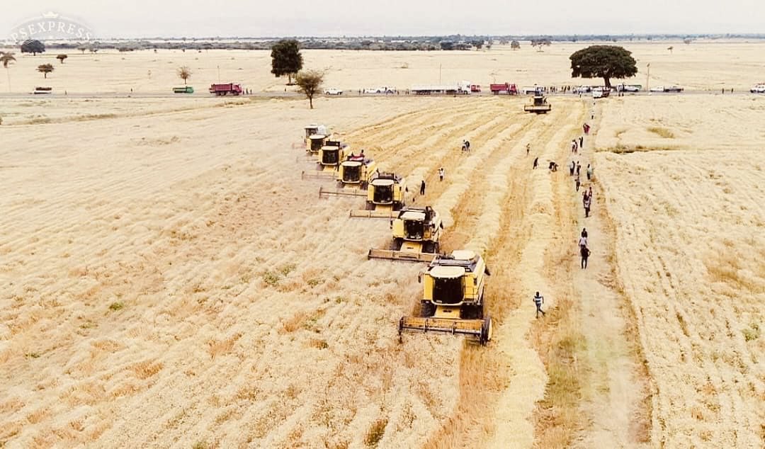 BizuayenEth's tweet image. The obsession of PP with photo op
and cosmetic projects 
If we make an economic analysis on this farm
 Production cost=♾
 Profit /quintal = - ??

#Inefficiency #Superficiality #Lack of priority 
Describe most of their grand projects
Too sad poor tax payers are paying z price