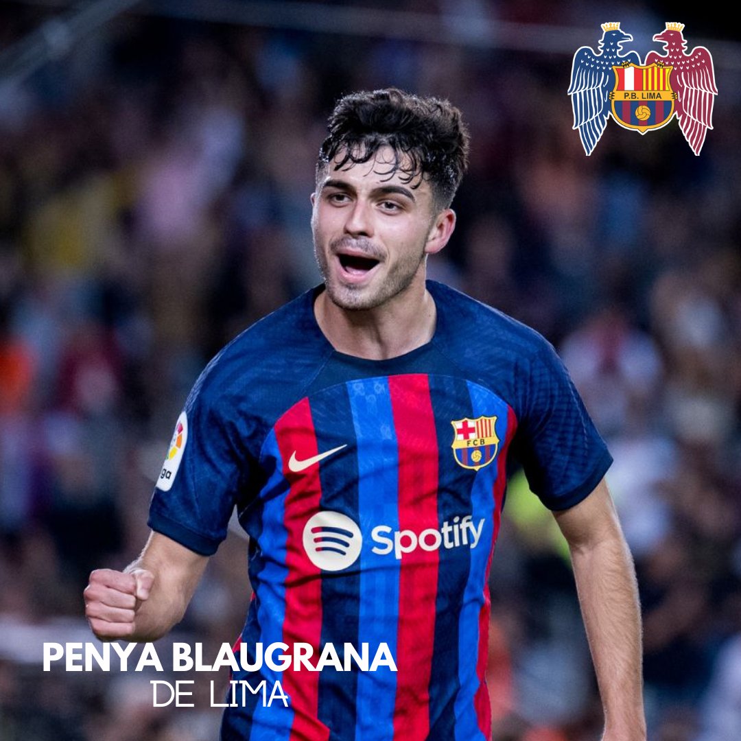Penyalima's tweet photo. PEDRI 💪💙

#fcbarcelona #penya #penyablaugranalima #futbol #pedri https://t.co/v42b8nx9Sm