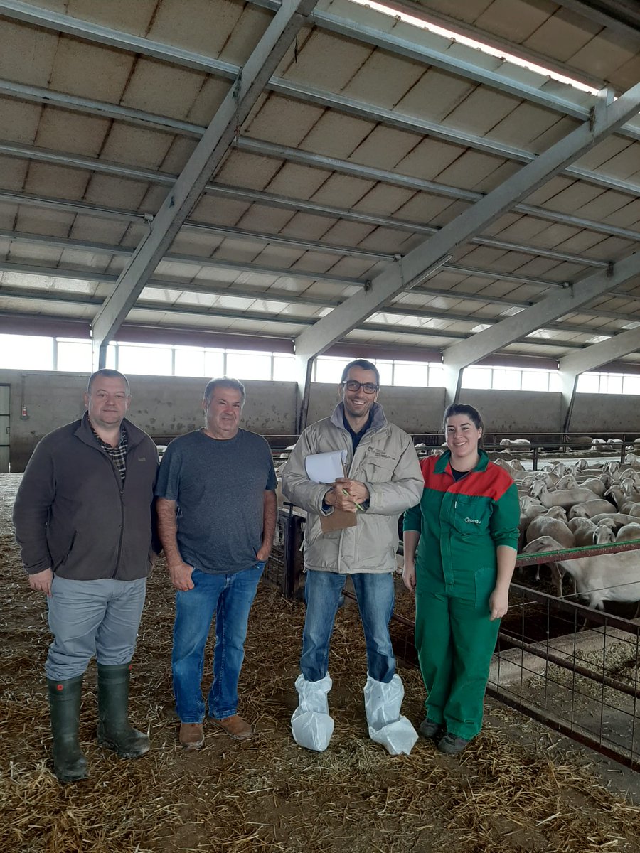 ITACYL's tweet photo. Trabajamos con los ganaderos de @cobadu_coop, COVISURLE, @CVEGAESLA, COGALA, Consorcio de Promoción del Ovino y Asovino en el proyecto #FEADER #SmartOvi para la aplicación de nuevas tecnologías de interés en granjas de #ovino
#ITACyL #InnovaciónGanadera
🔗 https://t.co/zyIYonn9rO https://t.co/Fb3Nr5o3ib