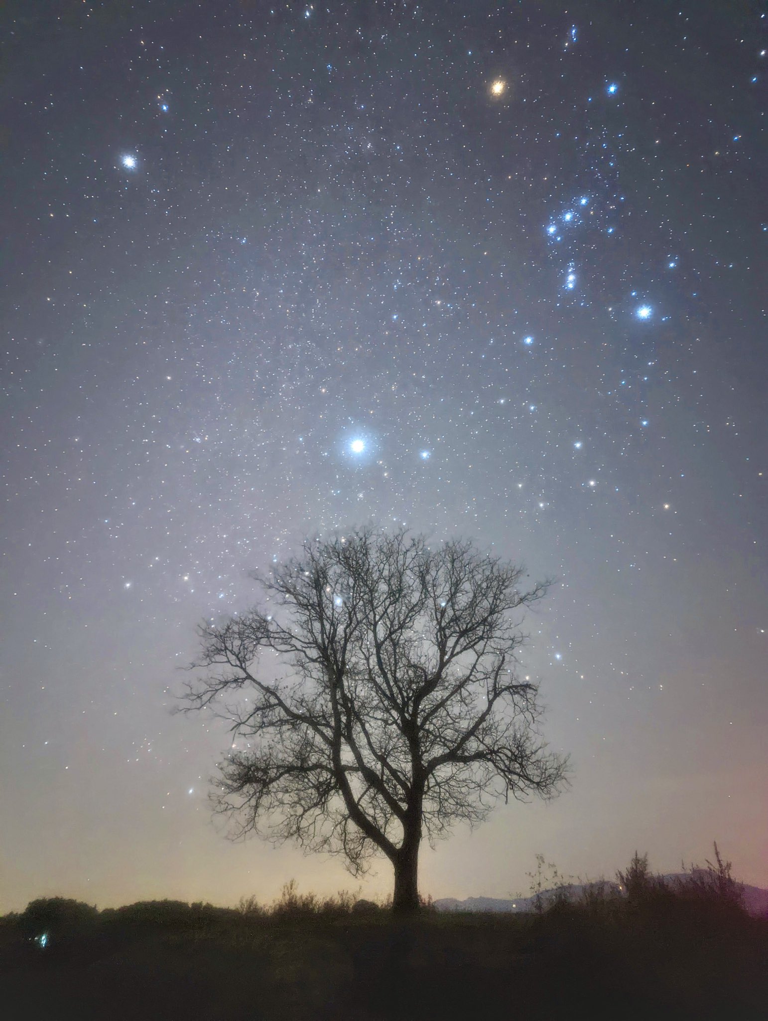 スマホで星空撮影 Twitter Search Twitter