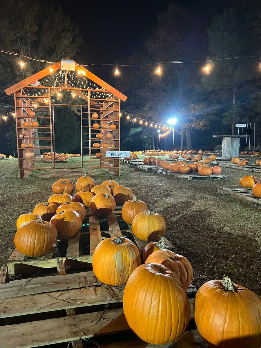 DHFD's tweet image. Perfect fall weather for the final weekend! We still have tons of great pumpkins left! 🍂🍁🎃