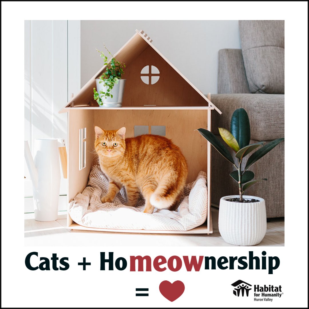 Happy National Cat Day to all those providing homes and love to furbabies around the world!

#Nationalcatday #UnderOneRoof