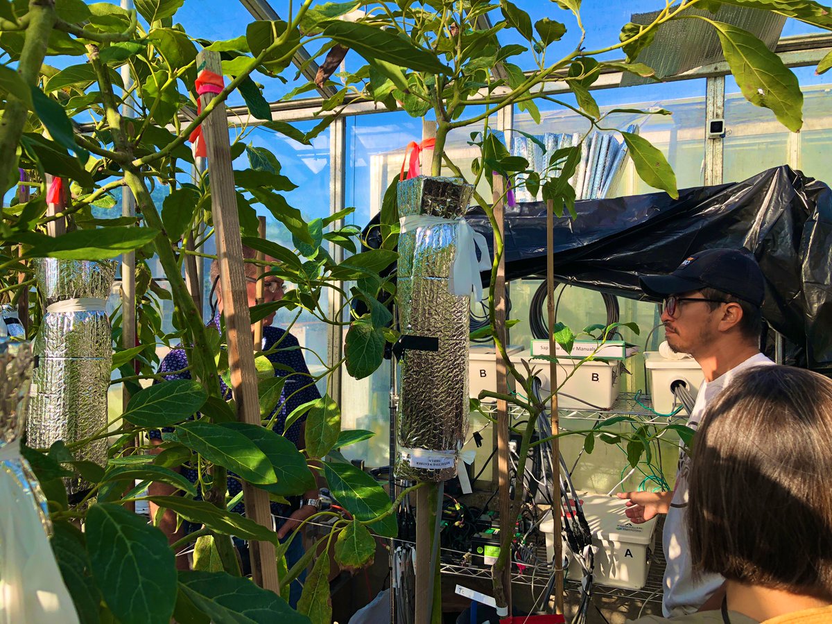 Tropical Plant Clinic & Research Lab (@clinicplant) on Twitter photo Great way to close the work week! Visit by <a href="/USDA_ARS/">Agricultural Research Service</a> to check our plant pathology-plant physiology 🧫🌱🥑transdisciplinary projects at <a href="/UFTropical/">UF IFAS Tropical Research and Education Center</a> <a href="/UFPlantPath/">UF/IFAS Plant Pathology Department</a> <a href="/ufhorticulture/">UF/IFAS Horticultural Sciences</a> and build new collaborations <a href="/USDA_NIFA/">NIFA</a> <a href="/NifaScriAvocado/">NIFA SCRI Avocado</a> #laurelwilt #avocado #plantdisease Great way to close the work week! Visit by <a href="/USDA_ARS/">Agricultural Research Service</a> to check our plant pathology-plant physiology 🧫🌱🥑transdisciplinary projects at <a href="/UFTropical/">UF IFAS Tropical Research and Education Center</a> <a href="/UFPlantPath/">UF/IFAS Plant Pathology Department</a> <a href="/ufhorticulture/">UF/IFAS Horticultural Sciences</a> and build new collaborations <a href="/USDA_NIFA/">NIFA</a> <a href="/NifaScriAvocado/">NIFA SCRI Avocado</a> #laurelwilt #avocado #plantdisease