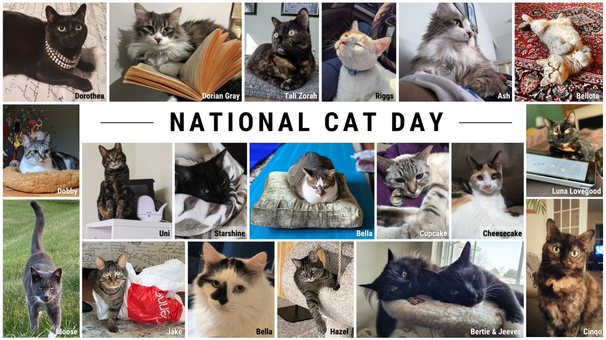 It's #NationalCatDay and #Caturday! Naturally, we had to create this collage of our staff's cats. Anyone else name their cats after their favorite stories?