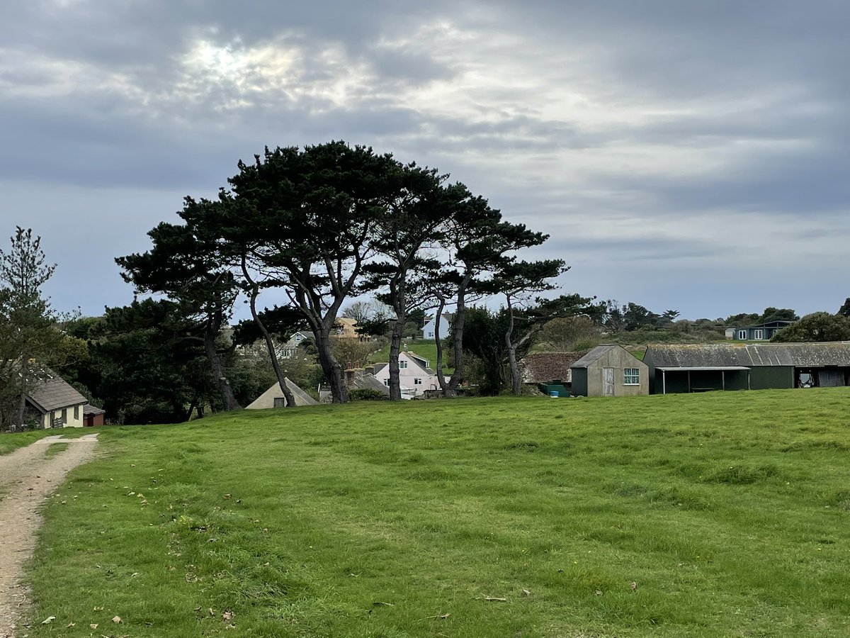 Out for a walk, so many lovely views, one is spoilt for choice,#LoveSark