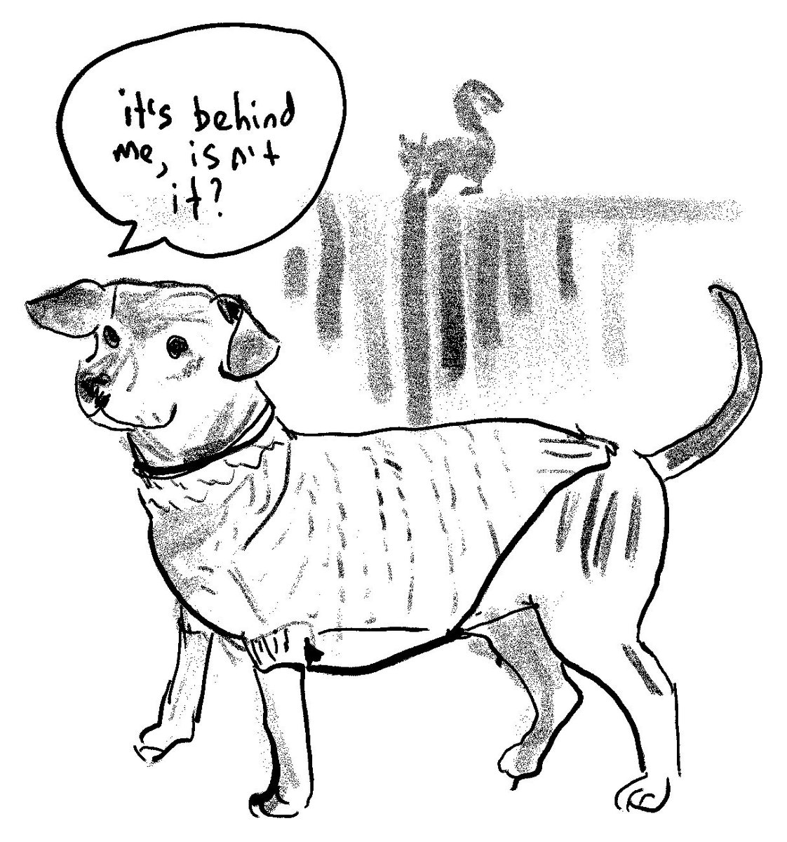 Mostly Dogs tweet media
