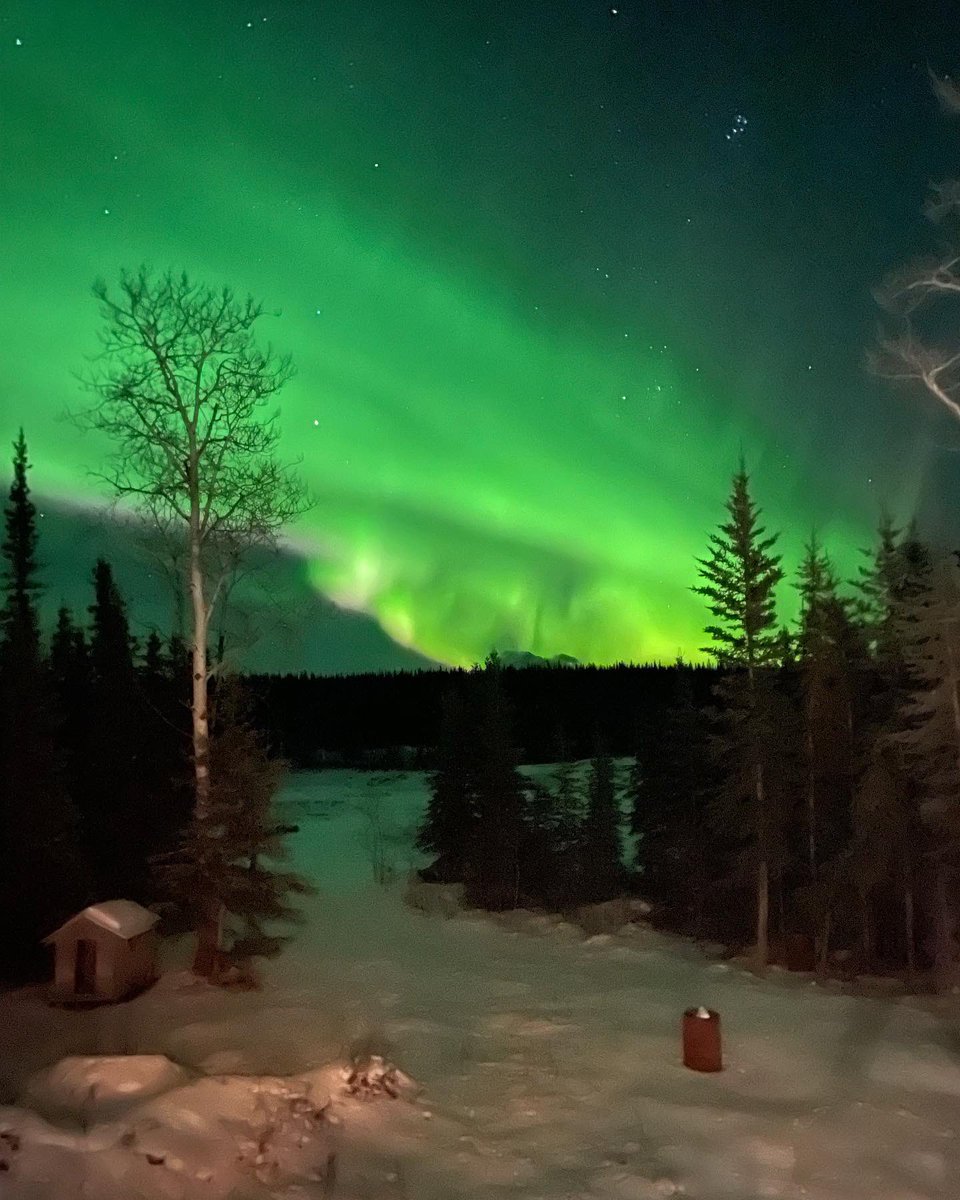 carlsnider's tweet photo. Made a trip to Glennallen to officiate basketball. Got back to Copperville B&amp;B and the Aurora’s are out!
#alaskaishome
#madeforalaska
#shootforthemoon
#auroraborealis https://t.co/U6ct5FYyp1