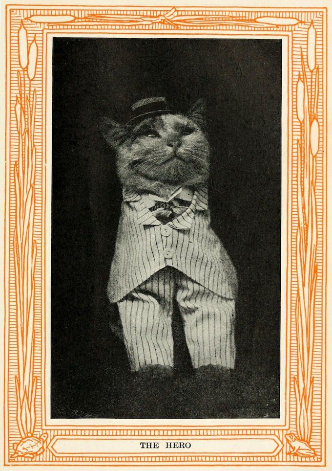 Book from 1911 showing that taking photos of cats and furnishing them with an amusing caption is far from being a phenomenon born with the internet. More here: buff.ly/2ZzSC76 #NationalCatDay
