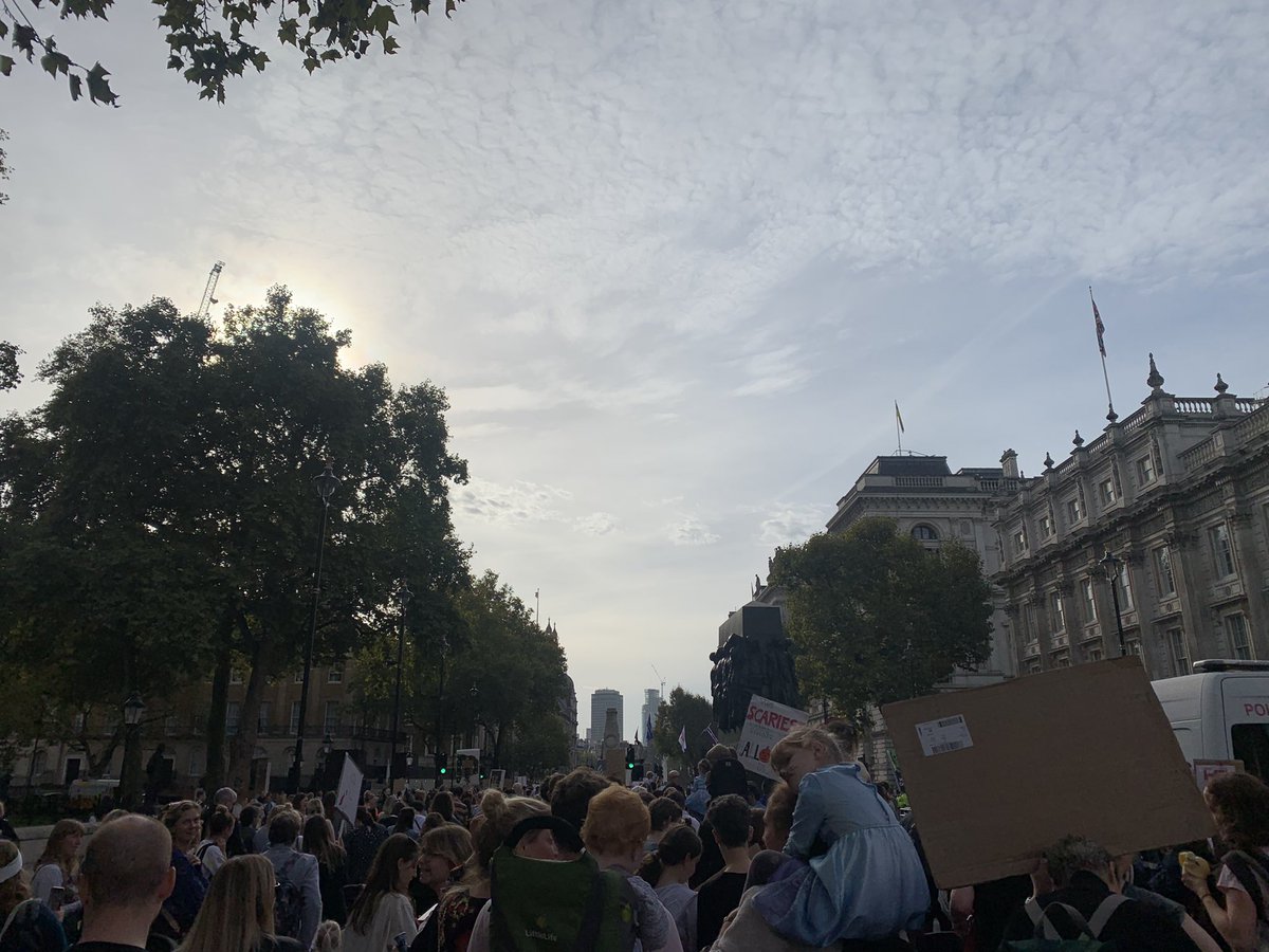 Danielle de Nervaux tweet media