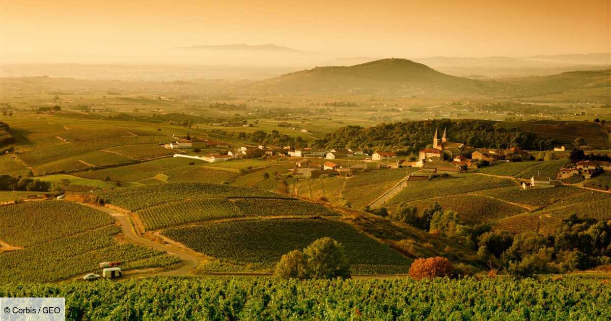 FrancePCI (@francepci) on Twitter photo La région PACA ( 19 centres) et la région Bourgogne ( 9 centres ) devraient rejoindre le registre #Francepci dès 2023 soutenue par leur ARS respectives . Une Bouillabaisse et un petit Chardonnay pour fêter ça ? <a href="/pcommeau/">philippeC</a> <a href="/AdjedjJulien/">Adjedj Julien</a> <a href="/deharo_pierre/">pierredeharo</a> La région PACA ( 19 centres) et la région Bourgogne ( 9 centres ) devraient rejoindre le registre #Francepci dès 2023 soutenue par leur ARS respectives . Une Bouillabaisse et un petit Chardonnay pour fêter ça ? <a href="/pcommeau/">philippeC</a> <a href="/AdjedjJulien/">Adjedj Julien</a> <a href="/deharo_pierre/">pierredeharo</a>
