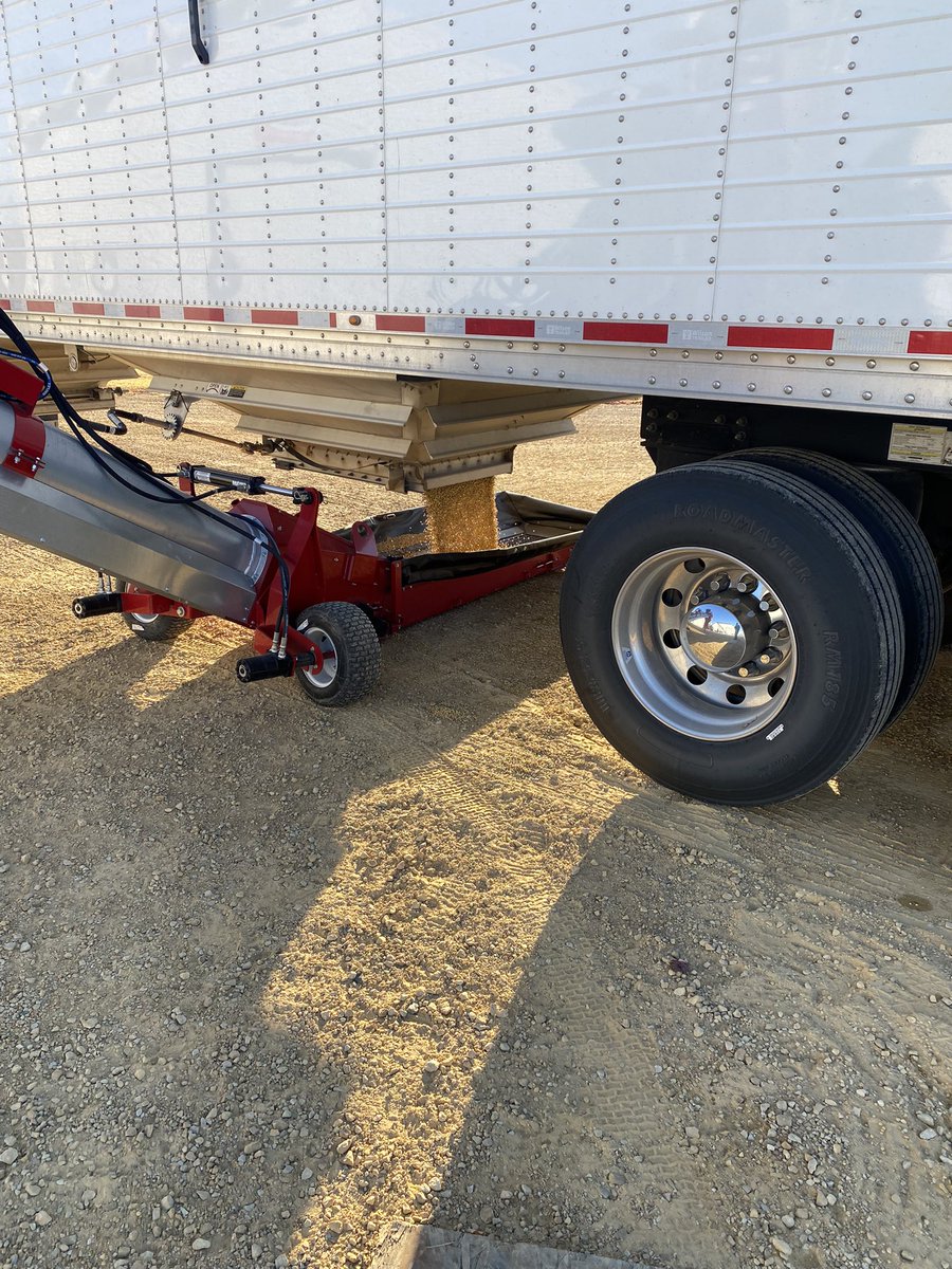GroAgMN's tweet photo. P18A73E Peking soybeans are going into the bin today! Excited to have these in our A-Series Enlist lineup https://t.co/aIgQOOxYFP