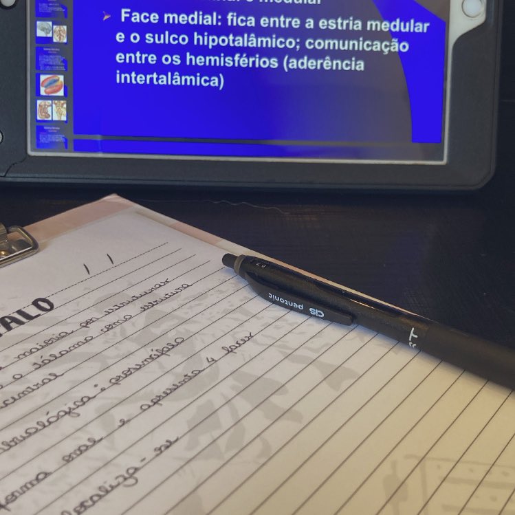 studysegalla's tweet image. — conselhos/coisas que eu queria saber quando entrei no ensino médio/faculdade

#studytwt #studytwtbr 
 
a thread—