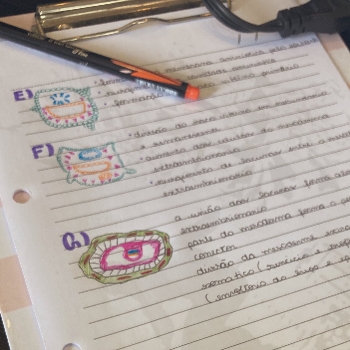 studysegalla's tweet image. — conselhos/coisas que eu queria saber quando entrei no ensino médio/faculdade

#studytwt #studytwtbr 
 
a thread—