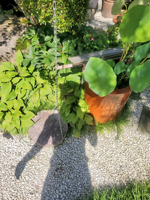 今年の夏は、気づいたらとっくに終わってました… 
