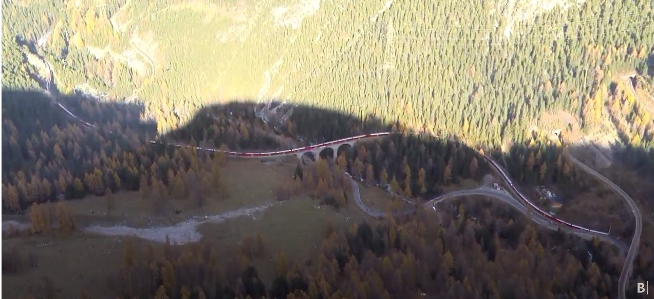 💉かまいるか💉💪🐬💪💉 on Twitter 