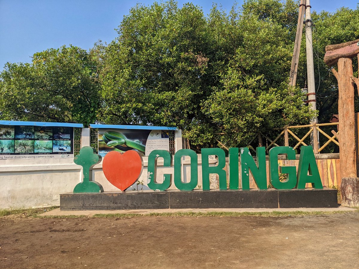 bonamsaibaba's tweet photo. Mada Forest Coringa📍
#Coringa #MadaForest #EastGodavari https://t.co/BcKmWhSsJF
