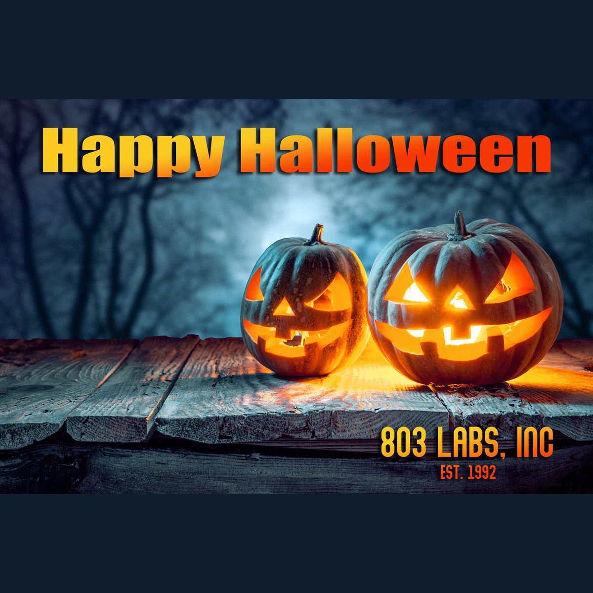 803 Labs, Inc. tweet media