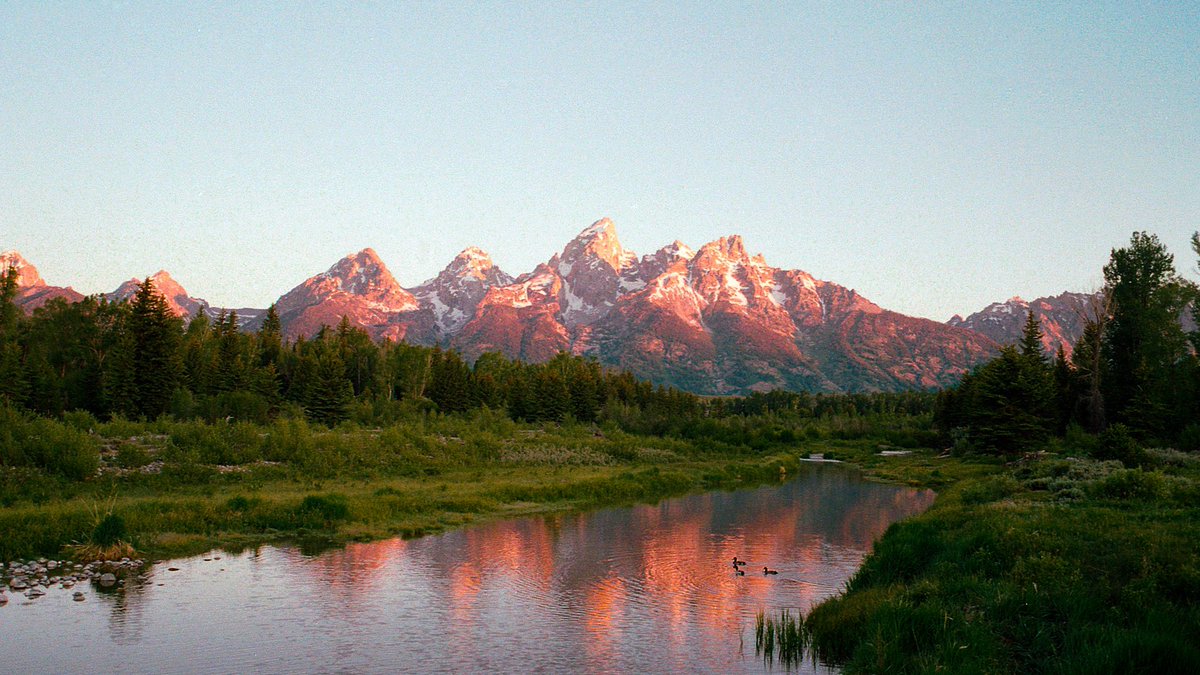 Nevin Johnson tweet media