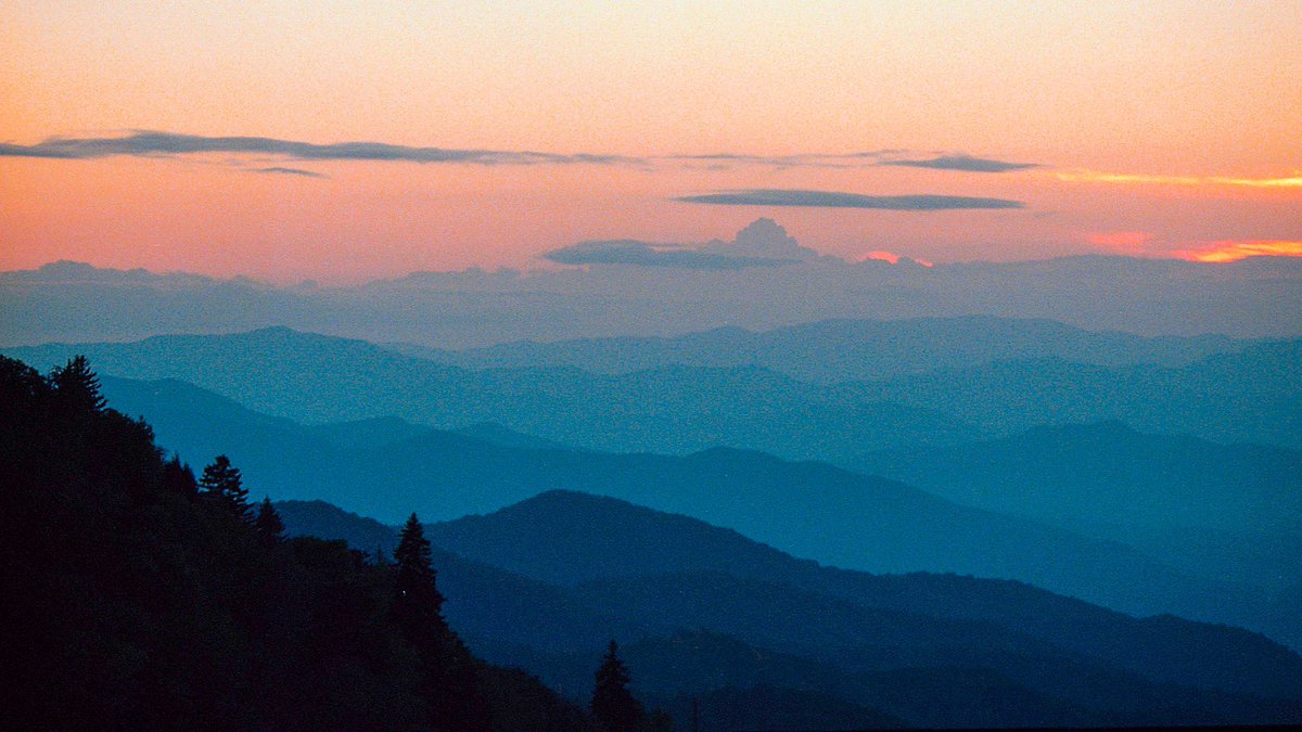 Nevin Johnson tweet media