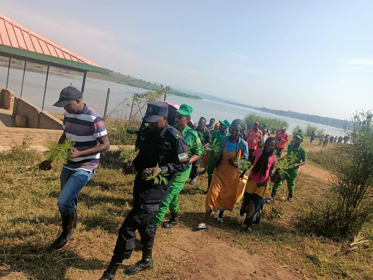 BugeseraDistr's tweet photo. Ku bufatanye bw'inzego z'ibanze, iz'umutekano n'abaturage b'Akagari ka Kagomasi mu murenge Gashora bafatanyije umuganda n'abanyeshuri 15 biga muri kaminuza ya African Leadership University n'abafatanyabikorwa b'umushinga wa #RECOR (Rwanda Environmental Conservation Organization) https://t.co/0gBr1uzoy5