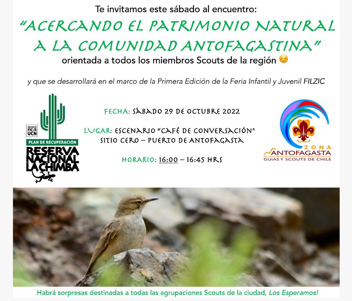 GuiasyScoutsCL's tweet photo. Las Guías y los Scouts de Antofagasta están participando de este encuentro, mostrando lo que significa ser parte de este Movimiento mundial ⚜️☘️.

¡Nos encontramos! https://t.co/0u44OJH9yd