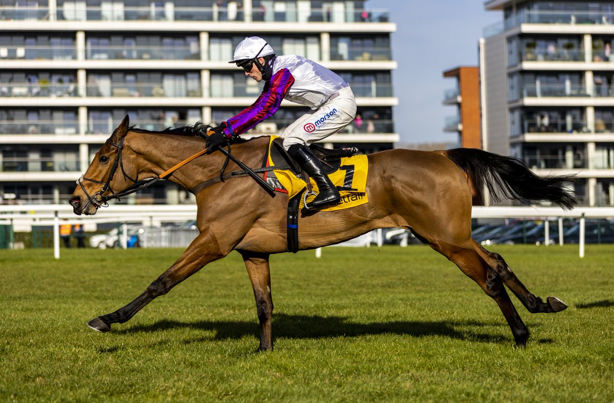 AtTheRaces's tweet photo. Bravemansgame is much too good in the Charlie Hall for @CobdenHarry and @PFNicholls! 🤩 https://t.co/qEH0FTsgG0