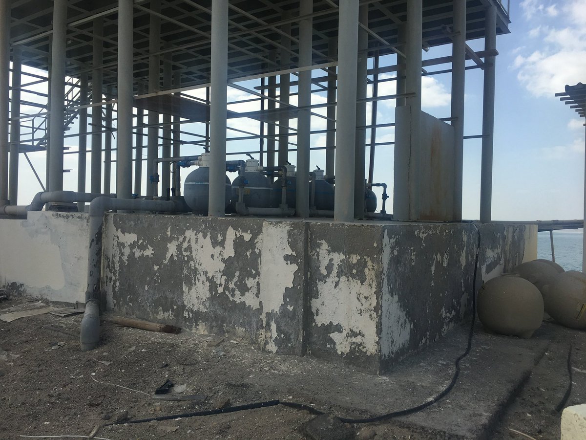 Profix Painting & Insulation Services tweet media