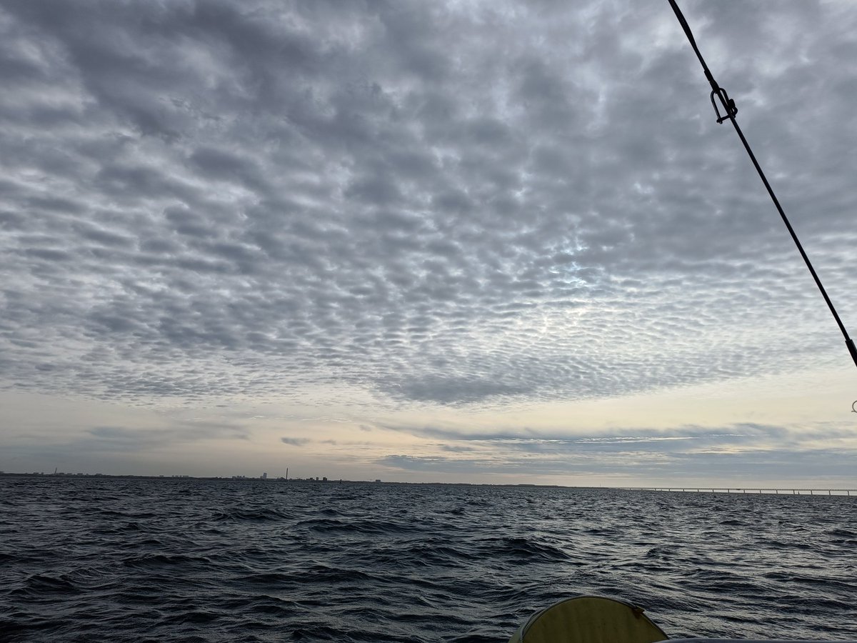 Tobias Richter tweet media