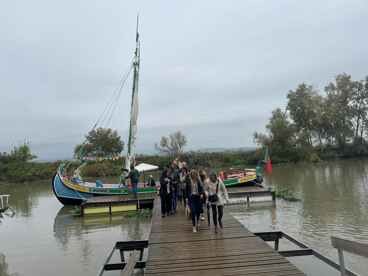 Ministério do Ambiente e Energia tweet media