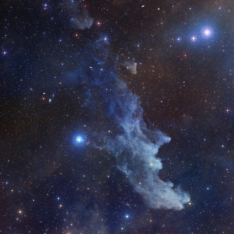 🧙‍♀️Witch Head Nebula on October nights earthsky.org/todays-image/w… #space #astronomy #Halloween #IC2118 #Orion