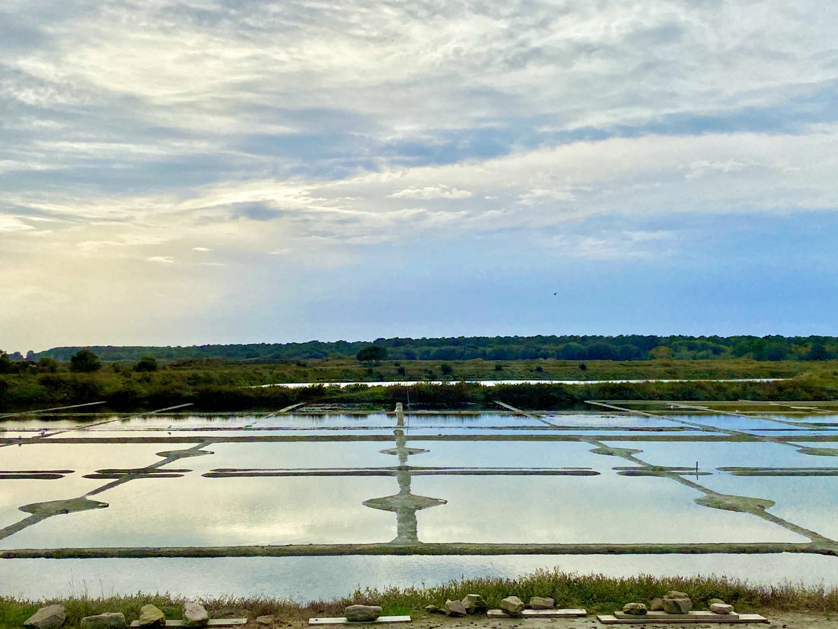 ashjfern's tweet photo. Beautiful secrets are whispered to you by a quiet salt marsh! #Guerande on the road to #PiriacSurMer https://t.co/mM6BTugcG6
