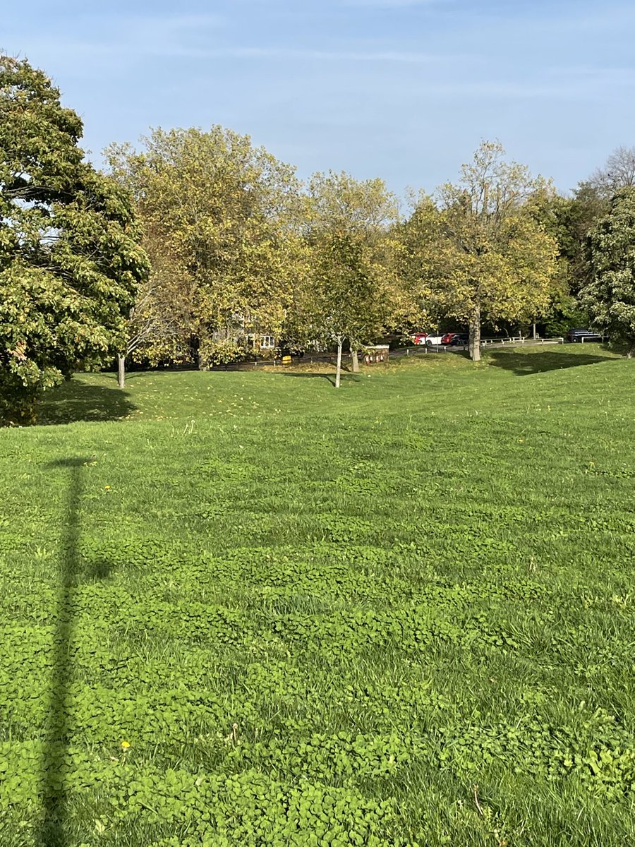 Today’s walk with ⁦<a href="/Fitnessrate/">Helen Freeman</a>⁩ #diabetes #t2d