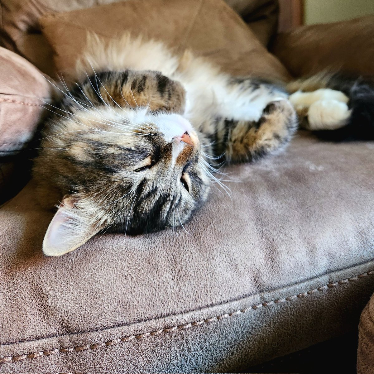 OliveTri's tweet photo. @thekjohnston Cash agrees. It's been a rough one. https://t.co/HzHzNn7T9Z