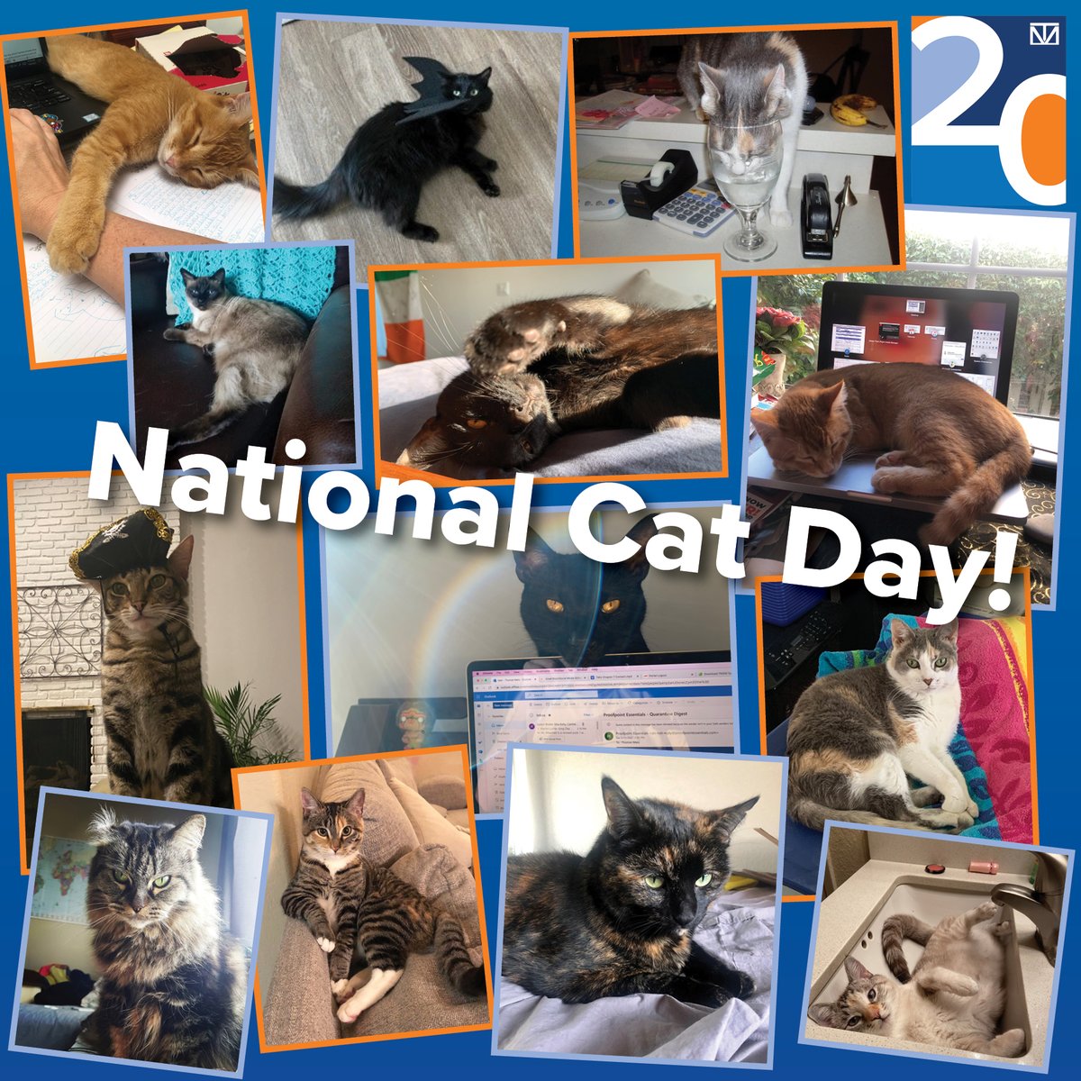tysonmendes's tweet photo. Happy National Cat Day to all our fellow Cat Lovers! Thankful for the option to work remotely as part of the Tyson Mendes team.
Interested in joining a national trial firm that offers the choice of where you work?
https://t.co/5NbSEsglvb
#TM20 #RemoteWork #NationalCatDay #CatDay https://t.co/OTIFIuk3Dl