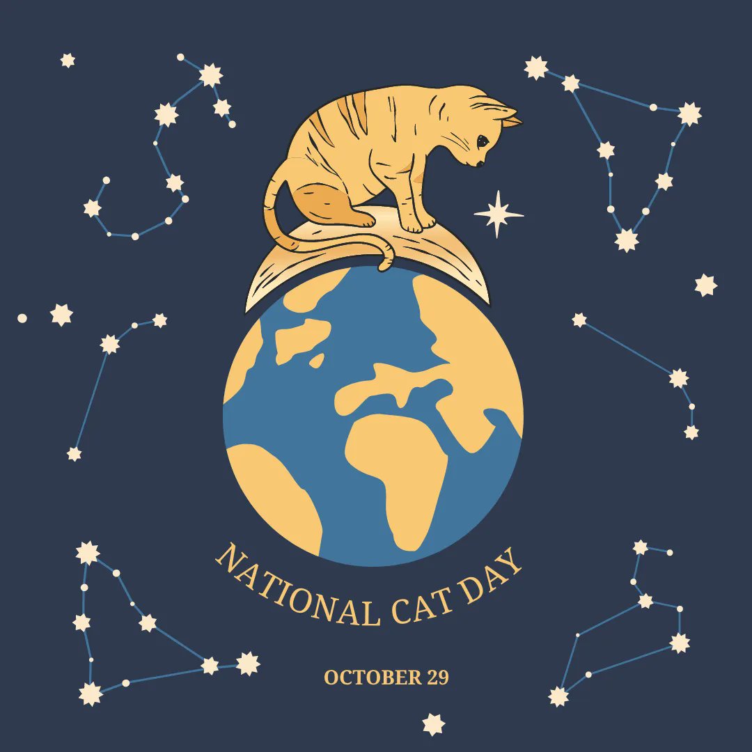 SocialifeRGV's tweet photo. Today is National Cat Day! Share a pic of your feline friend with a copy of our magazine for a chance at appearing in our SOCIALTAILS pet section! 🐱 🐾  #nationalcatday #socialtails #socialifergv #socialife #rgv https://t.co/gRceFQSqbp