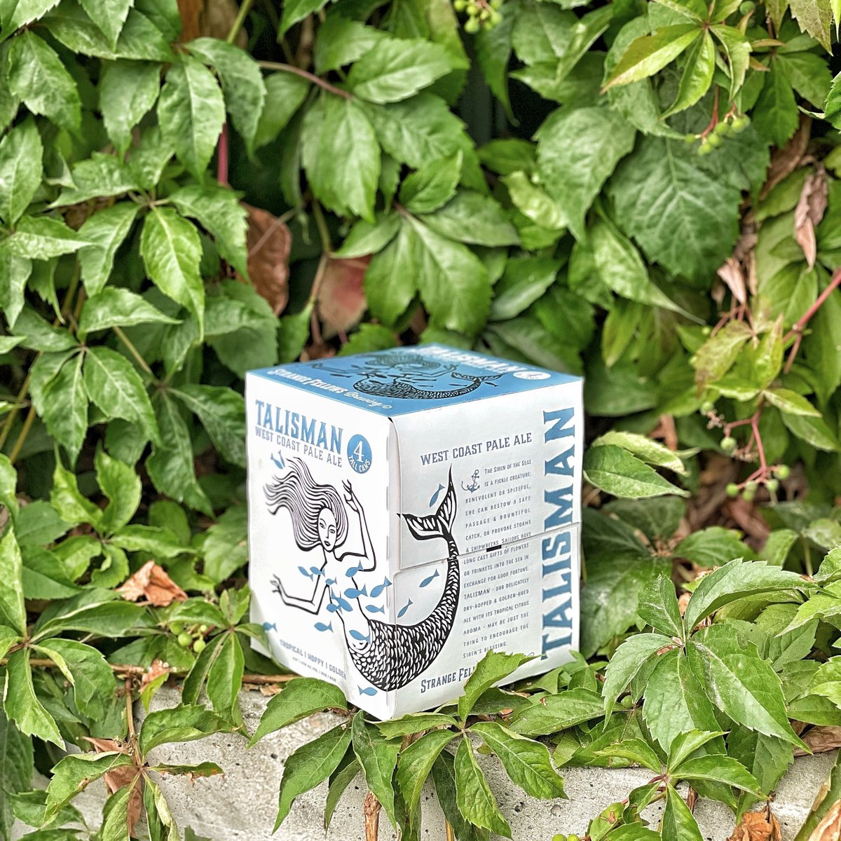 NEW LOOK👀 // We're thrilled with our NEW 100% recyclable 4-pack boxes of TALISMAN, JONGLEUR, BELDAME &amp; GUARDIAN. 
 
Less waste - same great taste!