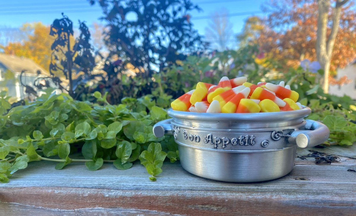 AitkensPew's tweet photo. Trick or Treat?! Just kidding, we've only got treats here at #aitkenspewter 🎃 Bon Appetit! 🍬
|
|
|
#Pewter #NewBrunswick #Fredericton #SupportFredLocal #ExploreFredericton #PewterTableware #Aitkens50 #servingdish #artisantablewear #trickortreat https://t.co/hF4m49BYCM