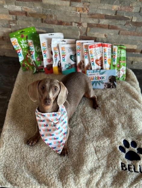 WebboxPetFood's tweet photo. The @htafc pets are LOVING their Webbox hampers! Did you know they are giving away a VIP Match Day experience for 2️⃣, as well as a £5️⃣0️⃣ Webbox hamper! 🙌
To #win:
📸 Show us your pet
⭐Tag both @htafc & @WebboxPetFood
👉 Include #WebboxVIP
📅 Entries close, 1 December 2022 https://t.co/tJkYjocrDp