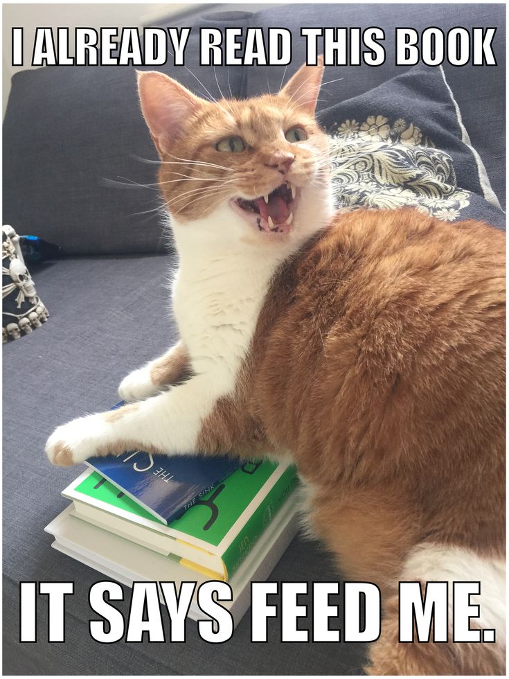 West Linn Library tweet media