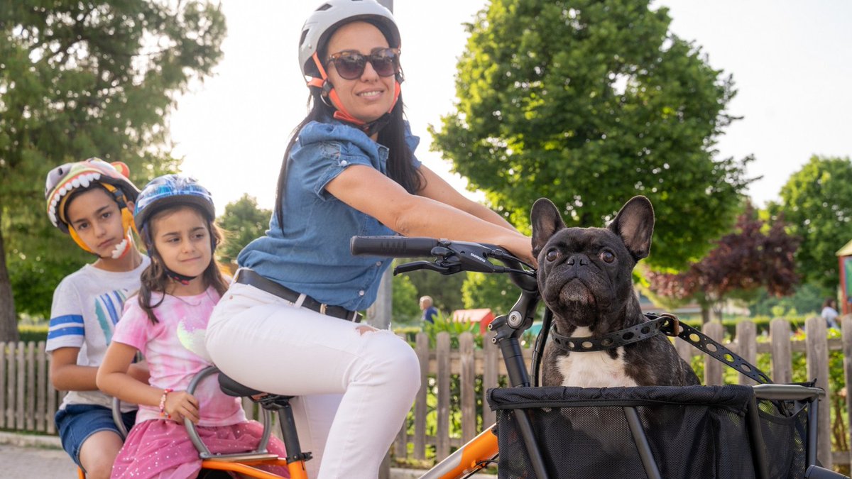 BikesYuba's tweet photo. Le Cargo bike sono sempre più diffuse, sono mezzi di trasporto molto pratici e sicuri, per trasportare i bambini, per fare la spesa e per fare gli spostamenti di tutti i giorni. #yubabike  #cargobikes #cargobike #donnobikes #igogreen #citybike #ciclismo #bici #bicidacarico https://t.co/PgacEJIJL9